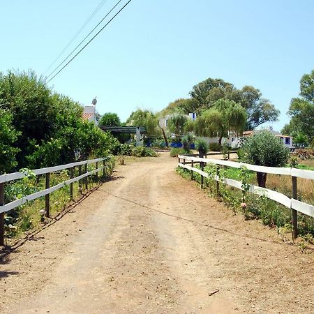 Charnequinha SilveirasMonte Das Silveirinhas - Casa Rural别墅 外观 照片
