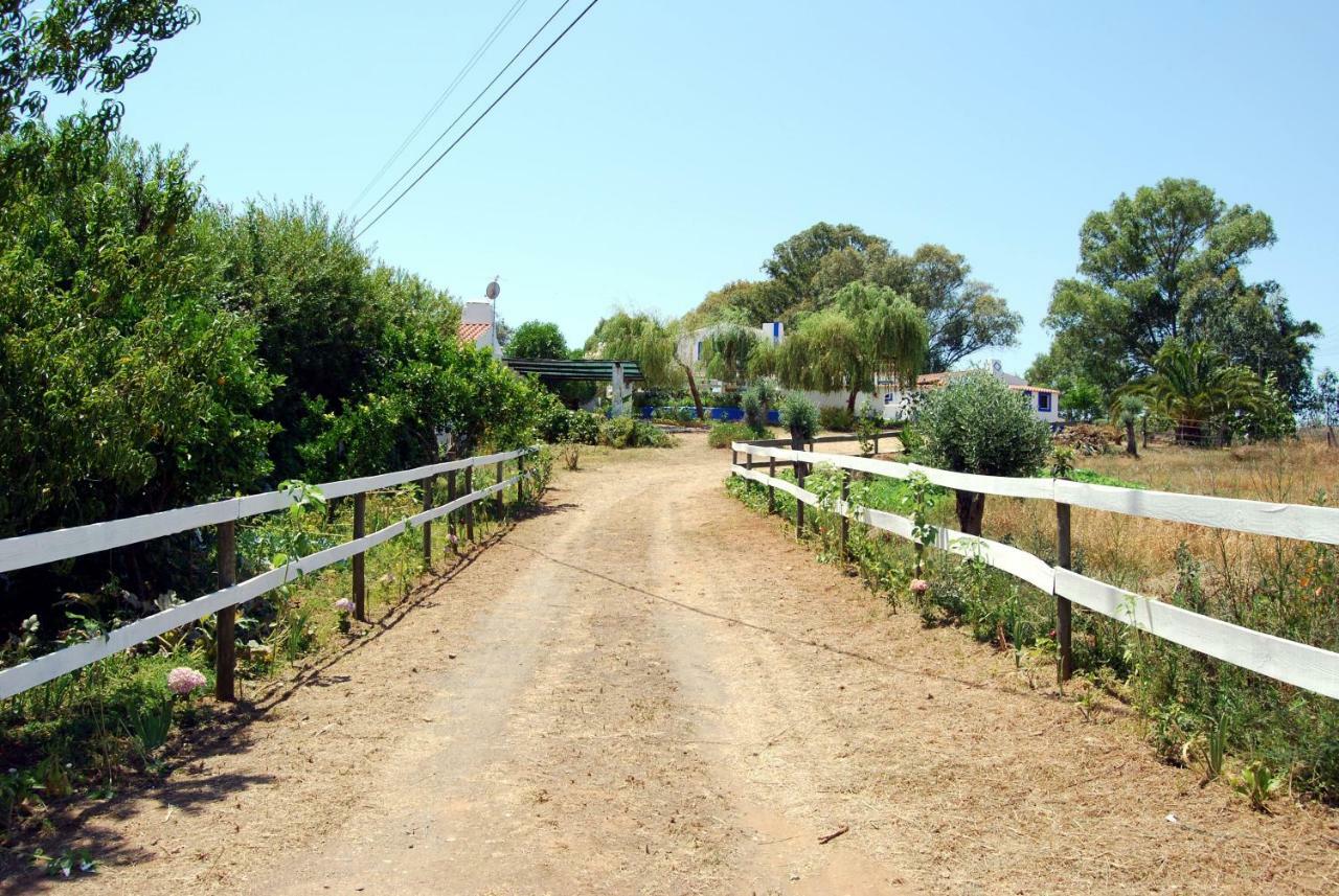 Charnequinha SilveirasMonte Das Silveirinhas - Casa Rural别墅 外观 照片