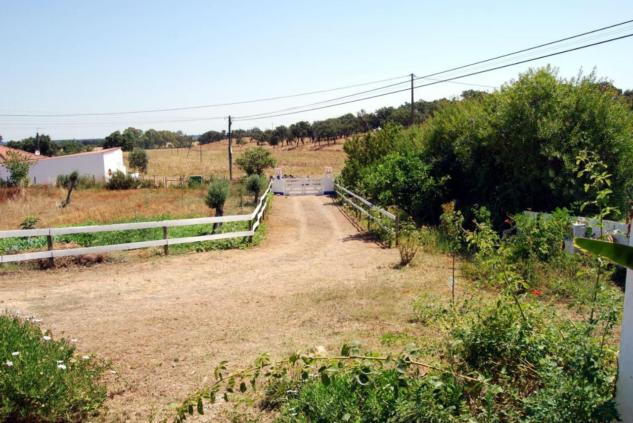 Charnequinha SilveirasMonte Das Silveirinhas - Casa Rural别墅 外观 照片
