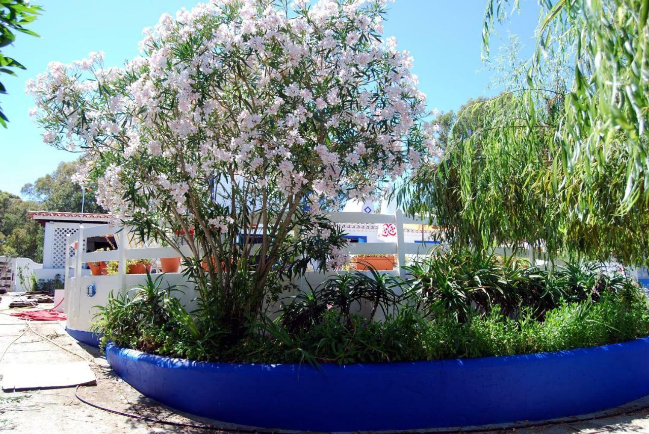 Charnequinha SilveirasMonte Das Silveirinhas - Casa Rural别墅 外观 照片